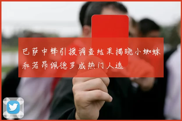 巴萨中锋引援调查结果揭晓小蜘蛛和若昂佩德罗成热门人选